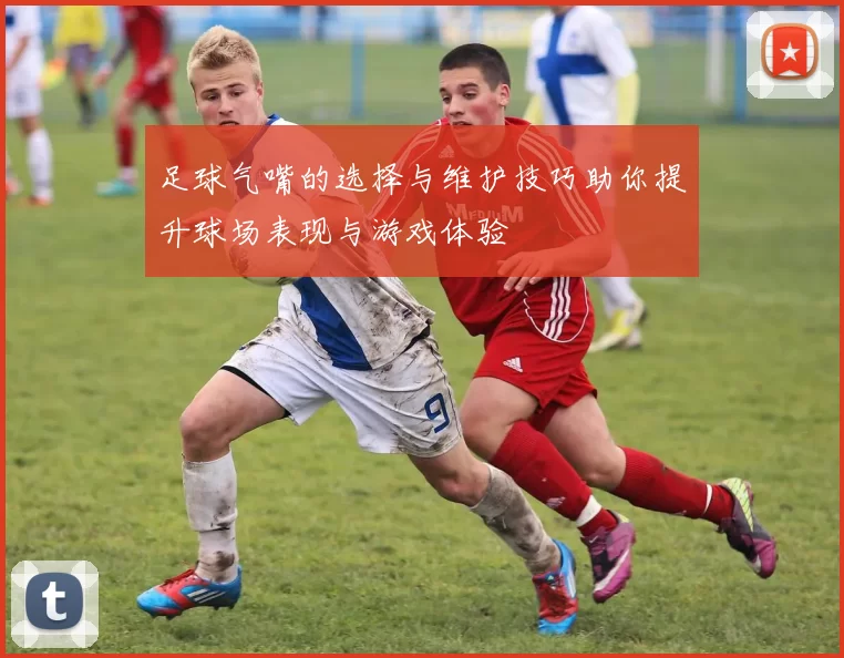 足球气嘴的选择与维护技巧助你提升球场表现与游戏体验
