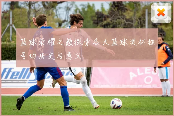 篮球荣耀之巅探索各大篮球奖杯称号的历史与意义