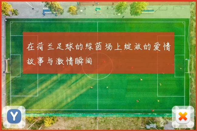 在荷兰足球的绿茵场上绽放的爱情故事与激情瞬间
