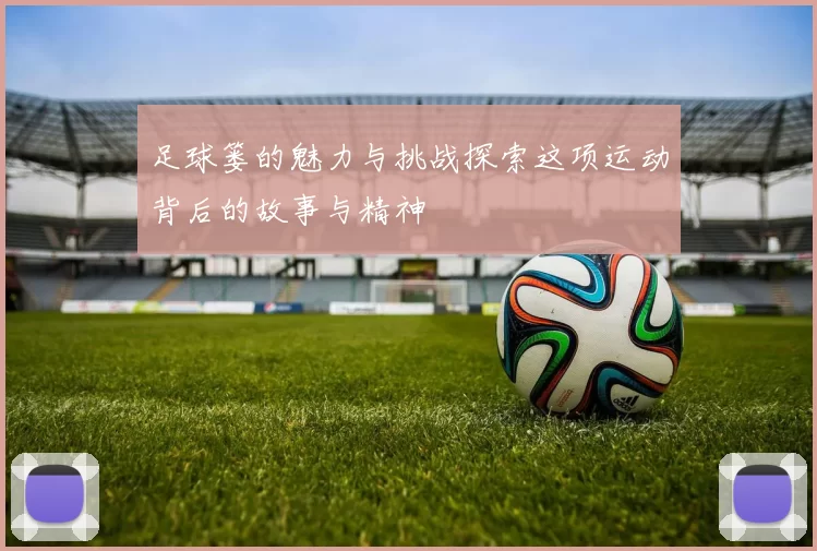 足球篓的魅力与挑战探索这项运动背后的故事与精神
