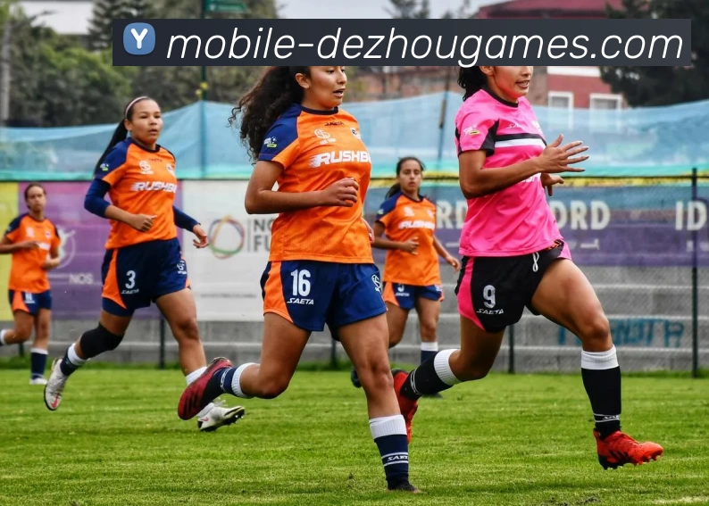 德州扑克中国平台生态图